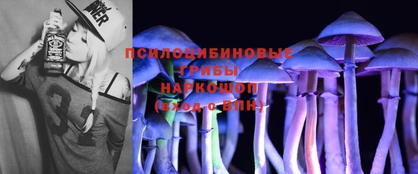 дурь Балахна