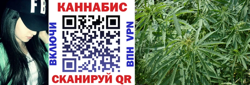 Купить закладки Малоярославец Шишки марихуана сатива